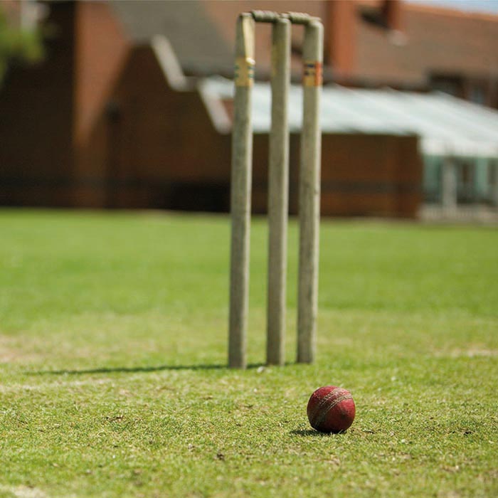 cricket stumps and ball